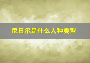 尼日尔是什么人种类型