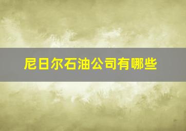 尼日尔石油公司有哪些