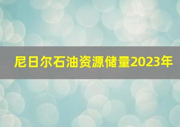 尼日尔石油资源储量2023年