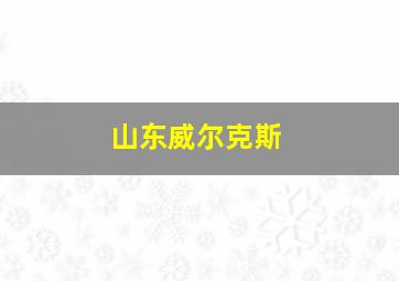 山东威尔克斯