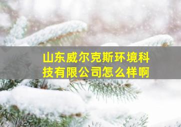 山东威尔克斯环境科技有限公司怎么样啊