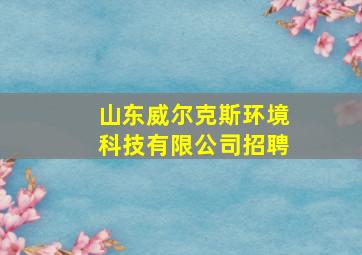 山东威尔克斯环境科技有限公司招聘