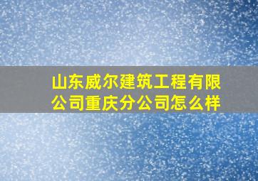 山东威尔建筑工程有限公司重庆分公司怎么样