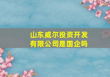 山东威尔投资开发有限公司是国企吗