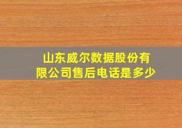 山东威尔数据股份有限公司售后电话是多少