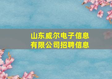 山东威尔电子信息有限公司招聘信息