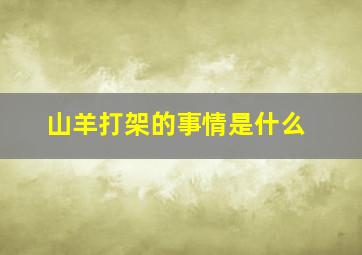 山羊打架的事情是什么