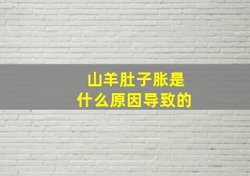 山羊肚子胀是什么原因导致的