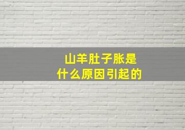 山羊肚子胀是什么原因引起的