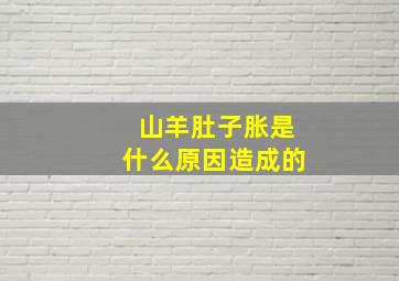 山羊肚子胀是什么原因造成的