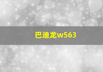 巴迪龙w563