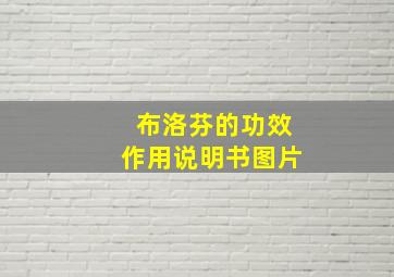 布洛芬的功效作用说明书图片