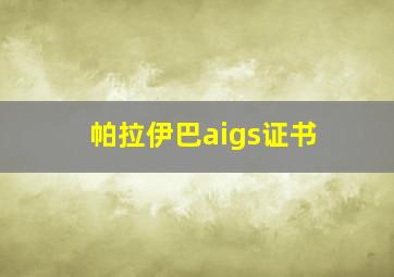 帕拉伊巴aigs证书