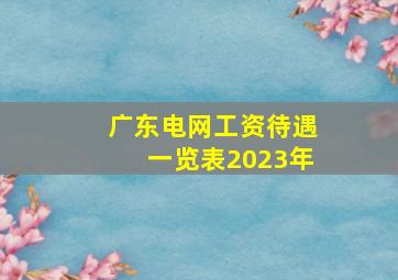 广东电网工资待遇一览表2023年