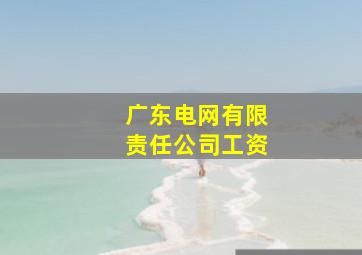 广东电网有限责任公司工资