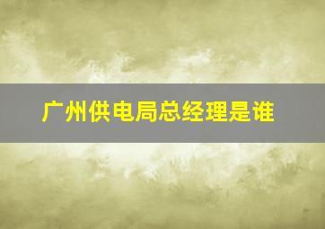 广州供电局总经理是谁