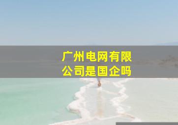 广州电网有限公司是国企吗