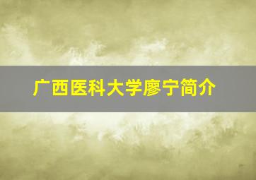 广西医科大学廖宁简介