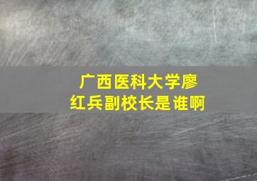 广西医科大学廖红兵副校长是谁啊