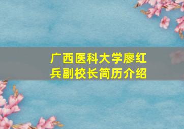 广西医科大学廖红兵副校长简历介绍