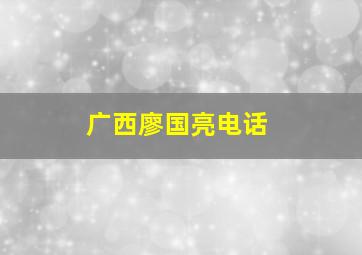 广西廖国亮电话