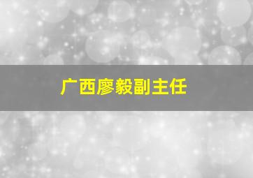 广西廖毅副主任