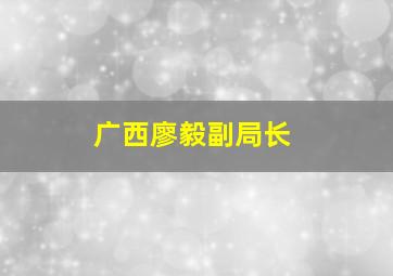 广西廖毅副局长