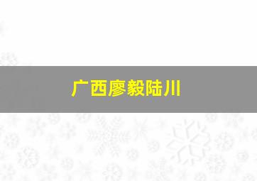 广西廖毅陆川