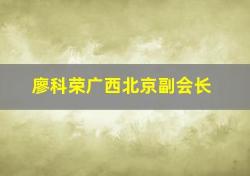 廖科荣广西北京副会长