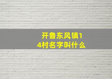 开鲁东风镇14村名字叫什么