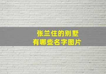 张兰住的别墅有哪些名字图片