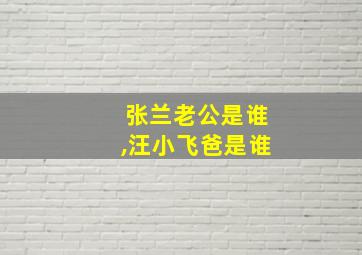 张兰老公是谁,汪小飞爸是谁