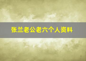 张兰老公老六个人资料