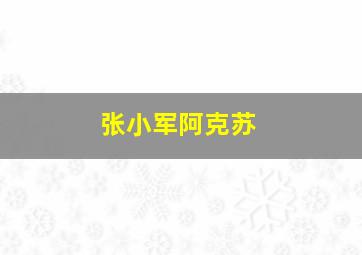 张小军阿克苏