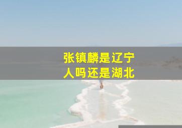 张镇麟是辽宁人吗还是湖北