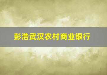 彭浩武汉农村商业银行