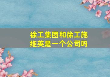 徐工集团和徐工施维英是一个公司吗