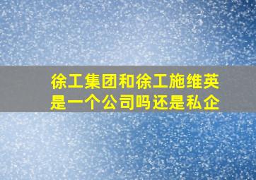 徐工集团和徐工施维英是一个公司吗还是私企