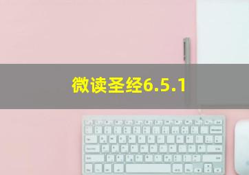 微读圣经6.5.1