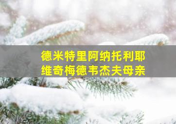 德米特里阿纳托利耶维奇梅德韦杰夫母亲