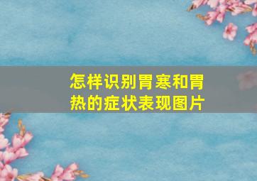 怎样识别胃寒和胃热的症状表现图片