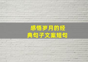 感悟岁月的经典句子文案短句