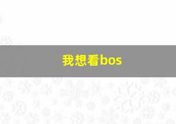 我想看bos