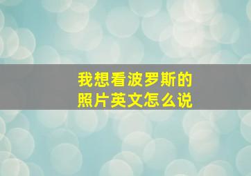 我想看波罗斯的照片英文怎么说