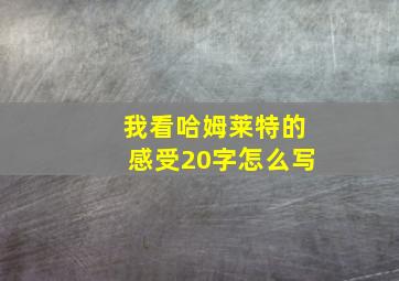 我看哈姆莱特的感受20字怎么写