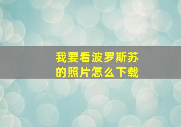 我要看波罗斯苏的照片怎么下载