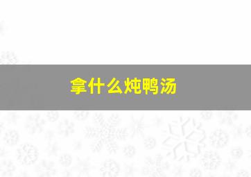 拿什么炖鸭汤