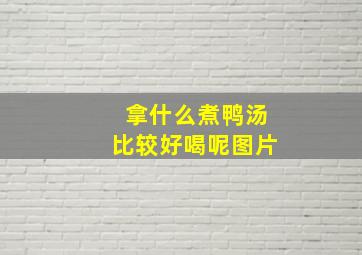 拿什么煮鸭汤比较好喝呢图片