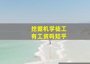 挖掘机学徒工有工资吗知乎