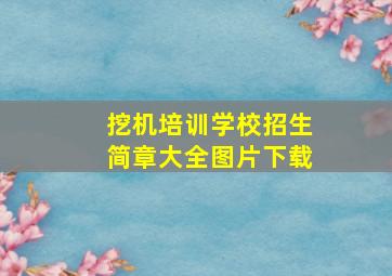 挖机培训学校招生简章大全图片下载